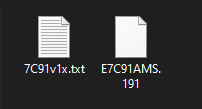 extrayendo archivos descargados